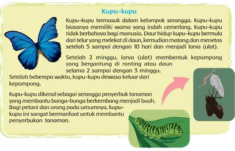 7 Kejutan Vivanews Otomotif yang Bikin Kamu Mikir Dua Kali Sebelum Beli Mobil! 7 Kejutan Vivanews Otomotif yang Bikin Kamu Mikir Dua Kali Sebelum Beli Mobil!