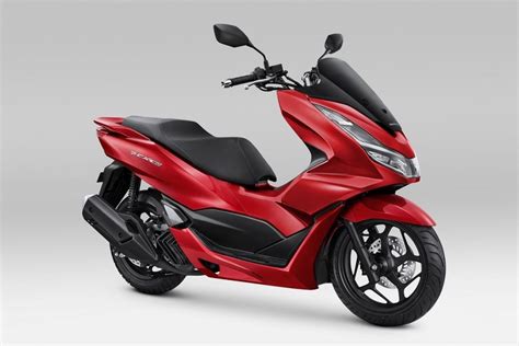 7 Fakta Harga Sepeda PCX Terbaru 2025: Mulai 15 Jutaan? 7 Fakta Harga Sepeda PCX Terbaru 2025: Mulai 15 Jutaan?